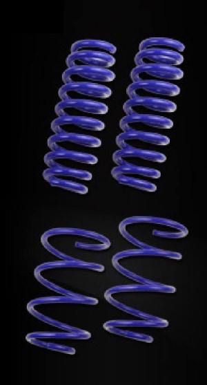 AP lowering springs fits for Audi A6 (4F) front-wheel drive Sedan, Wagon 2.4i - 3.2i + 4 Cylinder Diesel